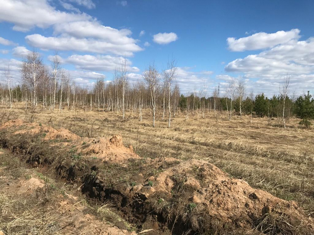 Земельный участок (царицынский бугор)