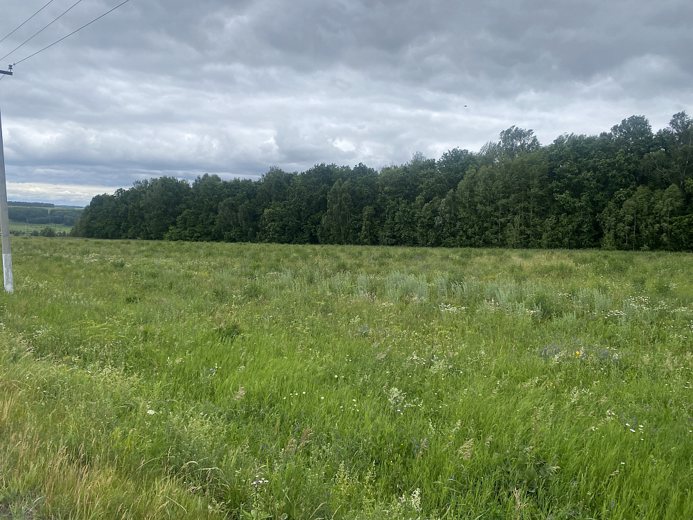 Земельный участок КАД № 16:20:040703:53