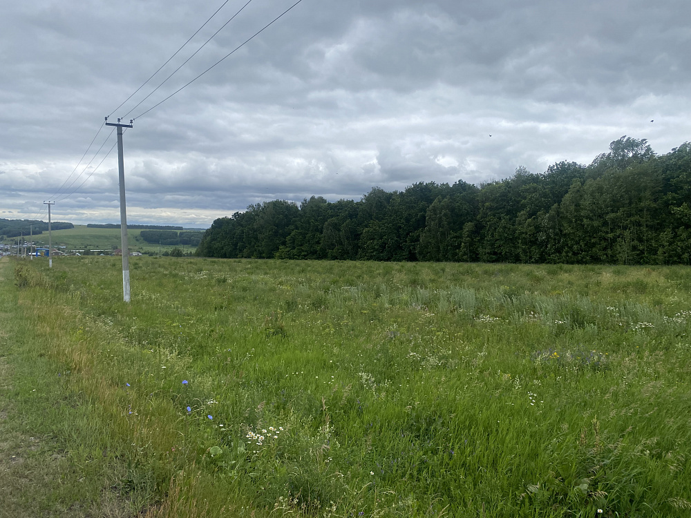 Земельный участок КАД № 16:20:040703:53