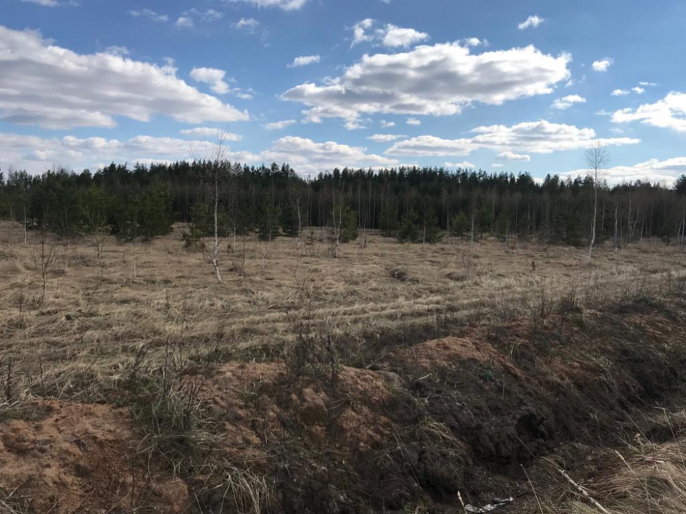 Земельный участок (царицынский бугор)