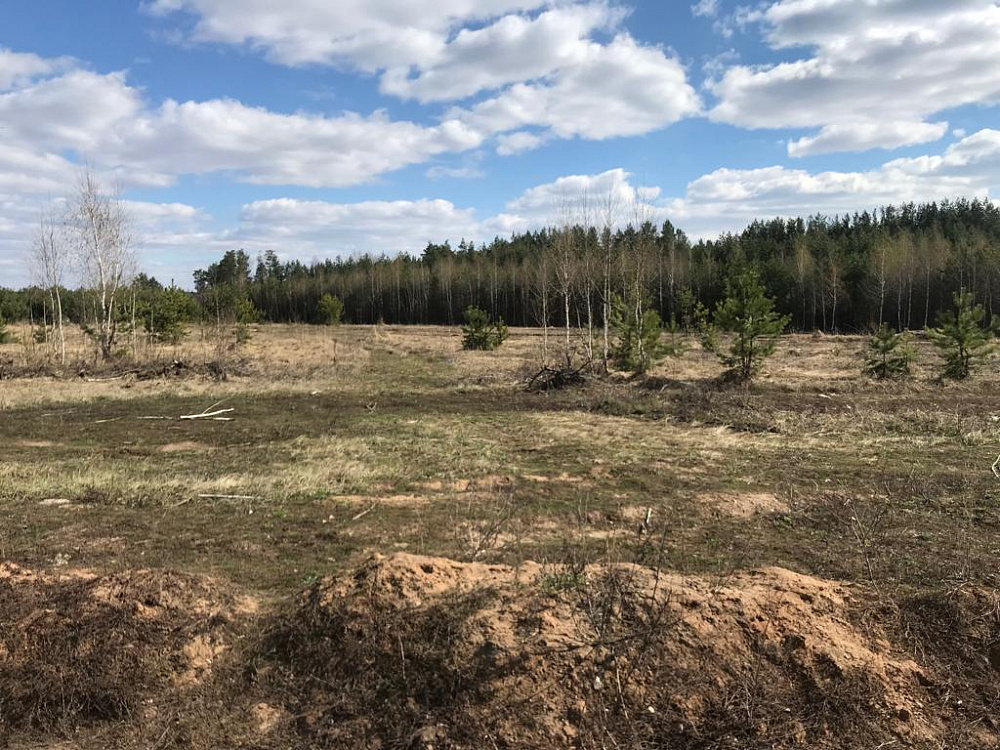 Земельный участок (царицынский бугор)