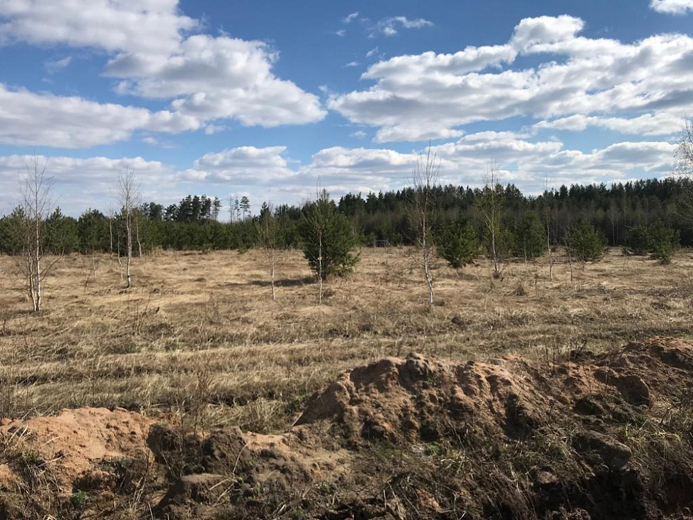 Земельный участок (царицынский бугор)